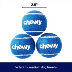 Frisco Chewy Fetch Squeaky Tennis Ball Dog Toy -Hot Sale Pet Supplies 164314 PT1. AC SS1800 V1691783970