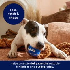 Frisco Chewy Fetch Squeaky Tennis Ball Dog Toy -Hot Sale Pet Supplies 164314 PT5. AC SS1800 V1691783910