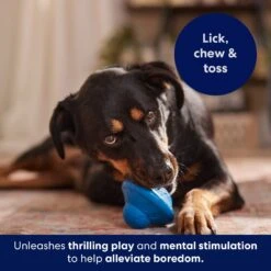 Frisco Flying Saucer Rubber Treat Dispenser Dog Toy 14 Frisco Flying Saucer Rubber Treat Dispenser Dog Toy -Hot Sale Pet Supplies 164757 PT5. AC SS1800 V1691784247