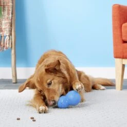 Frisco Snowman Rubber Treat Dispenser Dog Toy -Hot Sale Pet Supplies 164769 PT4. AC SS1800 V1563808954