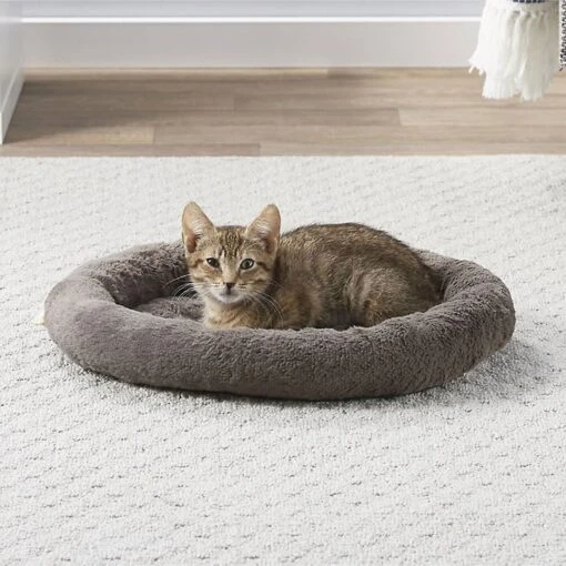 Frisco Self Warming Bolster Round Kitten Bed -Hot Sale Pet Supplies 165315 Main. AC SS1800 V1576690675