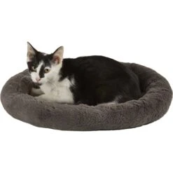 Frisco Self Warming Bolster Round Kitten Bed -Hot Sale Pet Supplies 165315 PT2. AC SS1800 V1568211141