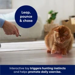 Frisco 2-in-1 Laser & LED Light Laser Cat Toy -Hot Sale Pet Supplies 166309 PT3. AC SS1800 V1686579688