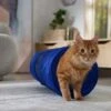 Frisco Foldable Play Tunnel With Mesh Cat Toy 1 Frisco Foldable Play Tunnel With Mesh Cat Toy -Hot Sale Pet Supplies 166385 MAIN. AC SS1800 V1686579145