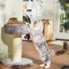 Frisco 24.8-in Heavy Duty Faux Fur Cat Tree -Hot Sale Pet Supplies 169397 MAIN. AC SS1800 V1680808632