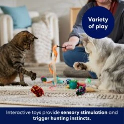 Frisco Plush, Teaser & Ball Variety Pack Cat Toy With Catnip -Hot Sale Pet Supplies 169686 PT5. AC SS1800 V1691783971