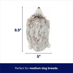 Frisco Hedgehog Plush Squeaky Dog Toy -Hot Sale Pet Supplies 174678 PT1. AC SS1800 V1695671000