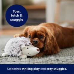 Frisco Hedgehog Plush Squeaky Dog Toy -Hot Sale Pet Supplies 174678 PT4. AC SS1800 V1695670748