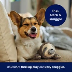Frisco Sloth Plush Squeaky Dog Toy -Hot Sale Pet Supplies 174681 PT4. AC SS1800 V1695671029