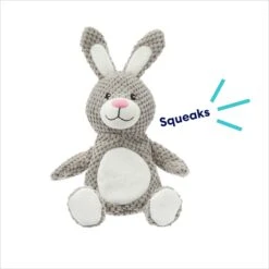 Frisco Bunny Textured Plush Squeaky Dog Toy -Hot Sale Pet Supplies 174693 PT2. AC SS1800 V1695670750