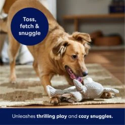 Frisco Bunny Textured Plush Squeaky Dog Toy -Hot Sale Pet Supplies 174693 PT4. AC SS1800 V1695671088