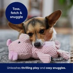 Frisco Pig Textured Plush Squeaky Dog Toy -Hot Sale Pet Supplies 174695 PT4. AC SS1800 V1695670689