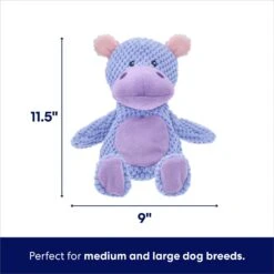 Frisco Hippo Textured Plush Squeaky Dog Toy -Hot Sale Pet Supplies 174697 PT1. AC SS1800 V1695659154
