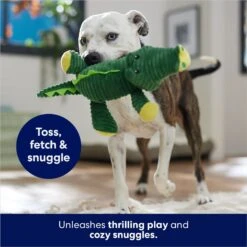 Frisco Alligator Corduroy Plush Squeaky Dog Toy -Hot Sale Pet Supplies 174705 PT5. AC SS1800 V1686580081