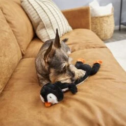 Frisco Penguin Skinny Plush Squeaky Dog Toy 7 Frisco Penguin Skinny Plush Squeaky Dog Toy -Hot Sale Pet Supplies 174707 PT2. AC SS1800 V1573492672