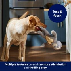 Frisco Sloth Muscle Plush Squeaky Dog Toy 12 Frisco Sloth Muscle Plush Squeaky Dog Toy -Hot Sale Pet Supplies 174715 PT4. AC SS1800 V1695670689