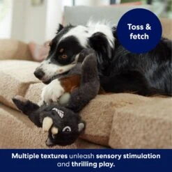 Frisco Rhino Muscle Plush Squeaky Dog Toy -Hot Sale Pet Supplies 174719 PT3. AC SS1800 V1691784246