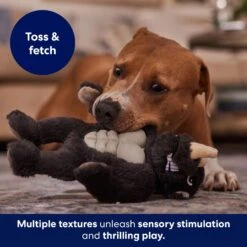 Frisco Rhino Muscle Plush Squeaky Dog Toy -Hot Sale Pet Supplies 174719 PT5. AC SS1800 V1694182068