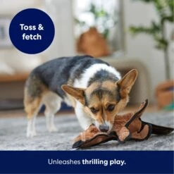 Frisco Beaver Stuffing-Free Flat Plush Squeaky Dog Toy -Hot Sale Pet Supplies 174729 PT4. AC SS1800 V1695671063