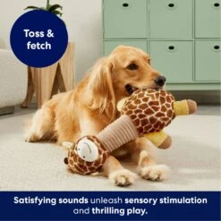 Frisco Giraffe Bobberz Plush Squeaky Dog Toy -Hot Sale Pet Supplies 174739 PT4. AC SS1800 V1695748355