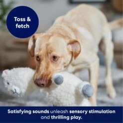 Frisco Llama Bobberz Plush Squeaky Dog Toy -Hot Sale Pet Supplies 174741 PT4. AC SS1800 V1695671063