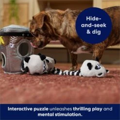 Frisco Trash Can & Raccoons Hide & Seek Puzzle Plush Squeaky Dog Toy -Hot Sale Pet Supplies 174757 PT5. AC SS1800 V1691784248