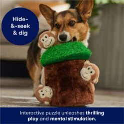 Frisco Monkeys In Tree Hide & Seek Puzzle Plush Squeaky Dog Toy -Hot Sale Pet Supplies 174759 PT5. AC SS1800 V1702598595