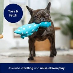 Frisco Dinosaur Latex Squeaky Dog Toy -Hot Sale Pet Supplies 174770 PT3. AC SS1800 V1686579138