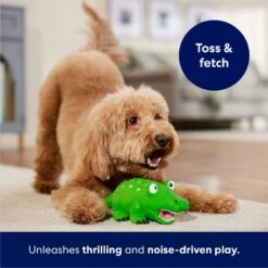 Frisco Alligator Latex Squeaky Dog Toy -Hot Sale Pet Supplies 174772 PT3. AC SS1800 V1686579212