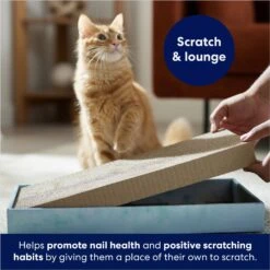 Frisco Double-Wide Cat Scratcher Toy Refill With Catnip, 2 Count -Hot Sale Pet Supplies 174800 PT3. AC SS1800 V1678723850