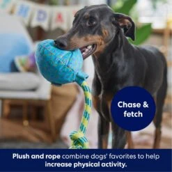 Frisco Birthday Balloon Plush With Rope Squeaky Dog Toy 10 Frisco Birthday Balloon Plush With Rope Squeaky Dog Toy -Hot Sale Pet Supplies 177807 PT3. AC SS1800 V1695241973