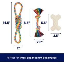 Frisco Jungle Pals Plush & Rope Variety Pack Dog Toy -Hot Sale Pet Supplies 177819 PT2. AC SS1800 V1686579629
