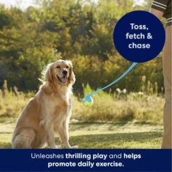 Frisco Ball Launcher & Fetch Squeaky Tennis Ball Dog Toy -Hot Sale Pet Supplies 178477 PT3. AC SS1800 V1695241970