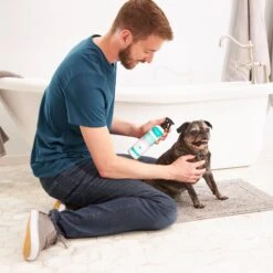 Frisco Aloe Hydrating Dog & Cat Spray, Sweet Nectar Scent -Hot Sale Pet Supplies 192084 PT3. AC SS1800 V1585321073