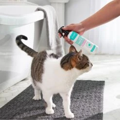 Frisco Aloe Hydrating Dog & Cat Spray, Sweet Nectar Scent -Hot Sale Pet Supplies 192084 PT4. AC SS1800 V1589487682