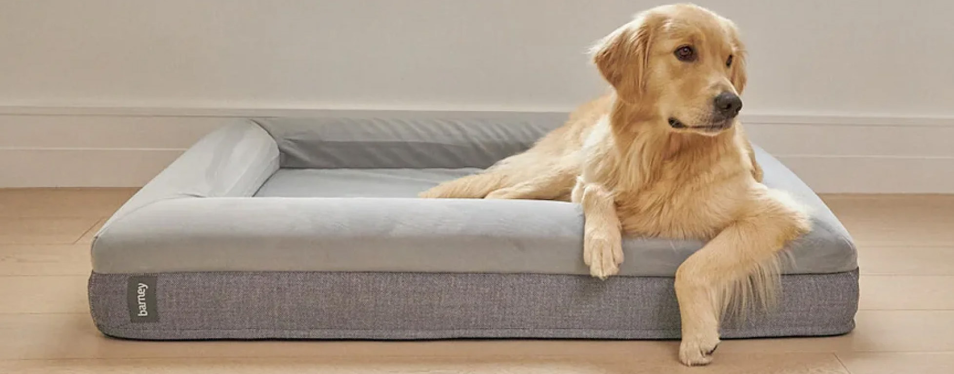 Hot Sale Pet Supplies -Hot Sale Pet Supplies 2