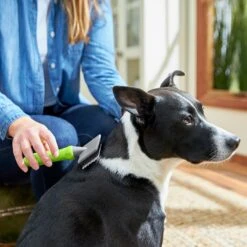 Frisco Soft Slicker Dog Brush, One Size 8 Frisco Soft Slicker Dog Brush, One Size -Hot Sale Pet Supplies 206869 PT4. AC SS1800 V1680186388