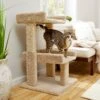 Frisco 32-in Real Carpet Wooden Cat Tree With Toy -Hot Sale Pet Supplies 208920 MAIN. AC SS1800 V1602682003