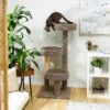 Frisco 50-in Real Carpet Wooden Cat Tree -Hot Sale Pet Supplies 208930 MAIN. AC SS1800 V1602682020