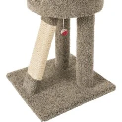 Frisco 24-in Real Carpet Cat Scratching Perch With Toy -Hot Sale Pet Supplies 208960 PT4. AC SS1800 V1589221657
