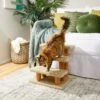 Frisco 20-in 3-Step Real Carpet Wooden Cat Steps -Hot Sale Pet Supplies 208966 MAIN. AC SS1800 V1602682013