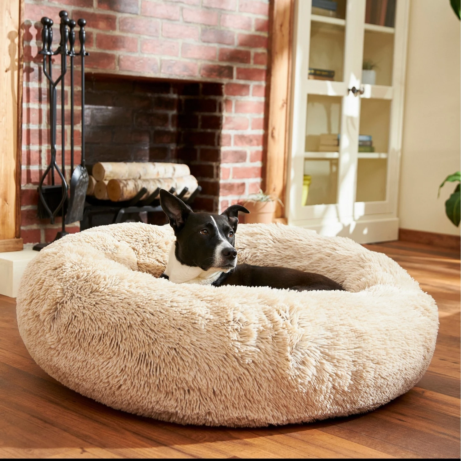 Frisco Eyelash Cat & Dog Bolster Bed 3 Frisco Eyelash Cat & Dog Bolster Bed