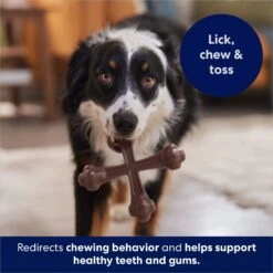 Frisco Bacon Flavor Tough Nylon Dog Chew Toy -Hot Sale Pet Supplies 213430 PT5. AC SS1800 V1691783968