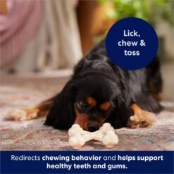 Frisco Chicken Flavor Tough Nylon Dog Chew Toy -Hot Sale Pet Supplies 213432 PT5. AC SS1800 V1691784031