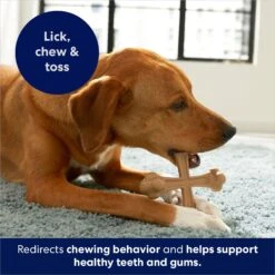 Frisco Peanut Butter Flavor Tough Nylon Dog Chew Toy -Hot Sale Pet Supplies 213436 PT5. AC SS1800 V1692019972