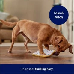 Frisco Frosted Pastry Stuffing-Free Flat Plush Squeaky Dog Toy 12 Frisco Frosted Pastry Stuffing-Free Flat Plush Squeaky Dog Toy -Hot Sale Pet Supplies 213812 PT5. AC SS1800 V1686579088