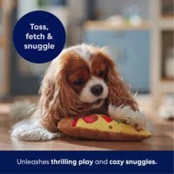 Frisco Pizza Slice Plush Squeaky Dog Toy -Hot Sale Pet Supplies 213818 PT4. AC SS1800 V1695748409