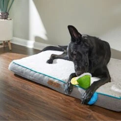 Frisco Summer Fun Margarita Plush & Rope Dog Toy -Hot Sale Pet Supplies 214679 PT6. AC SS1800 V1597596393