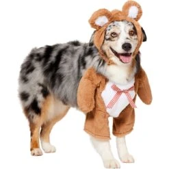 Frisco Front Walking Teddy Bear Dog & Cat Costume -Hot Sale Pet Supplies 215507 PT3. AC SS1800 V1624402415