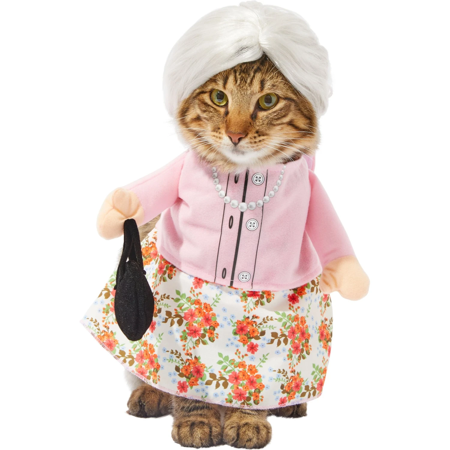 Frisco Front Walking Granny Dog & Cat Costume 3 Frisco Front Walking Granny Dog & Cat Costume